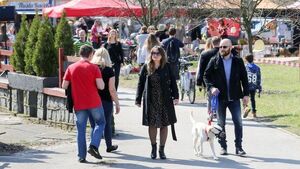 Specjalna akcja. Dla psów, które nie mają domów [ZDJĘCIA]