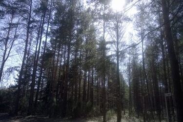 Czeka nas piękny i słoneczny dzień