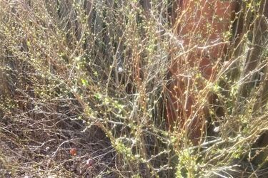 Będzie ładnie, ale dość wietrznie