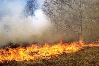 Wraz z ciepłem wrócił problem. Podpalane są trawy i nieużytki