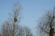 Pogoda na czwartek - jaka będzie?