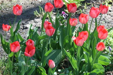 Początek tygodnia zapowiada się przyjemnie