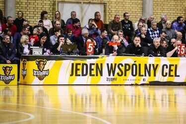 Żubry wciąż są w grze. Będzie powtórka z rozrywki?