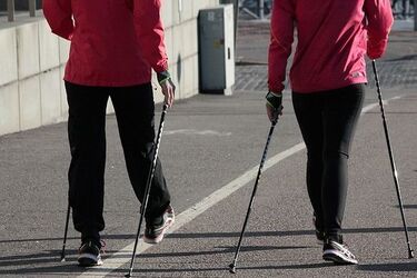 Bezpłatne treningi nordic walking. To okazja do zadbania o zdrowy tryb życia