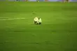 Ściąga kibica. II liga - 30. kolejka
