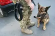 Policyjne psy złapały bandziora na dworcu autobusowym. W ramach szkolenia [ZDJĘCIA]