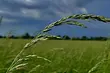 Słońce schowa się za chmurami. Zmiana pogody w Białymstoku