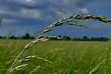 Słońce schowa się za chmurami. Zmiana pogody w Białymstoku