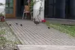 Kacza rodzina zmieniła adres. Wędrowała po kampusie UwB [WIDEO]