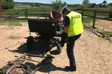 Wypadek zaprzęgu. Są ranne dzieci