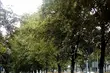 Pogoda na Boże Ciało. Słoneczny czwartek w mieście