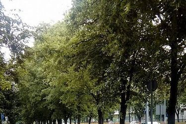 Pogoda na Boże Ciało. Słoneczny czwartek w mieście