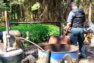 Leśna bimbrownia zlikwidowana, bimbrownik złapany