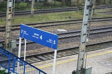 "Połączenie w dobrej cenie". Pociągami można jeździć taniej