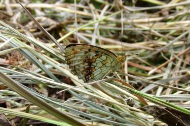 To najcieplejsza taka wiosna od lat. Czekając na deszcz