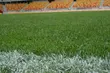 Murawa ze stadionu przysłuży się ostatni raz. Jednak nie będzie na niej meczu