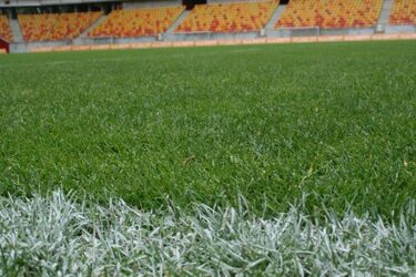 Murawa ze stadionu przysłuży się ostatni raz. Jednak nie będzie na niej meczu
