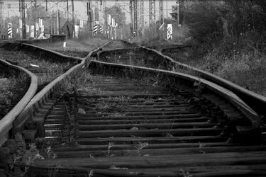 Na torze kolejowym znaleziono zwłoki. Rozcięte na pół