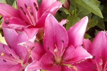 Nowy tydzień zacznie się słonecznie. Może jednak zagrzmieć