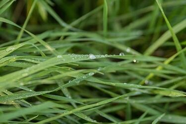 29 stopni w ciągu dnia. Może popadać