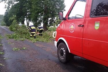 Nawałnice nad Podlasiem. Powalone drzewa i brak prądu