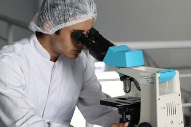 Dyżury szpitali. Zobacz jak pracują placówki w tygodniu (25.06-1.07)