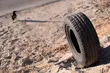 Letnie pokazy pod gwiazdami. Będą też filmy z muzyką na żywo [WIDEO]