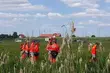 Zidentyfikowano szczątki z rowu melioracyjnego