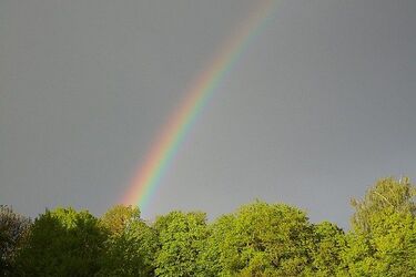 Trochę słońca w środku tygodnia. Tak zapowiada się środa w Białymstoku 