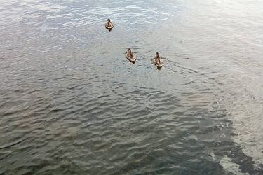 Bezchmurnie i słonecznie. Na termometrach 27 stopni