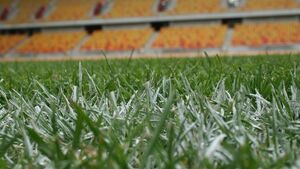 Będzie równie dobra, co poprzednia? Na stadionie kładą już nową murawę