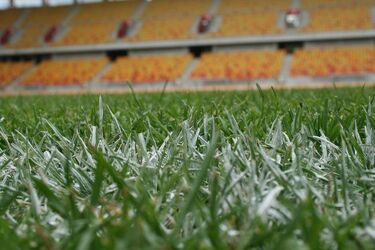 Będzie równie dobra, co poprzednia? Na stadionie kładą już nową murawę