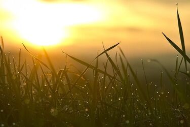 Pogoda na poniedziałek. Słoneczny początek tygodnia