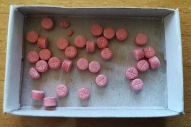 Matka wezwała policję do syna. Dziwnie się zachowywał