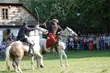 Rekonstrukcja bitwy, pokazy mody i cyrku. Niedziela w Ciechanowcu