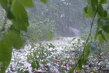Uwaga idą burze z gradem. Jak się uchronić przed piorunem?