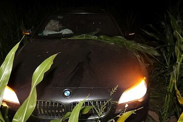 Zniszczył pole kukurydzy. Przy użyciu kradzionego BMW