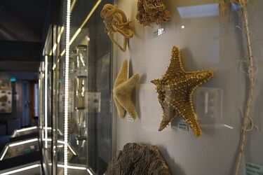 Moc atrakcji w Uniwersyteckim Centrum Przyrodniczym. Będzie otwarte przez całe wakacje