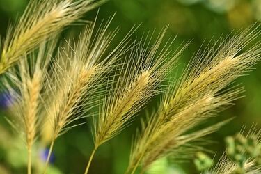 Pogoda na poniedziałek. Słoneczny początek tygodnia