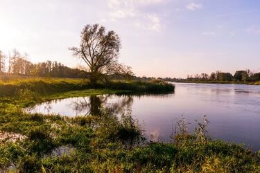 Ciało z Rospudy. Śledczy nie wykluczają samobójstwa 