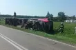 Wypadek z udziałem ciężarówki. Tir przewoził 180 sztuk trzody