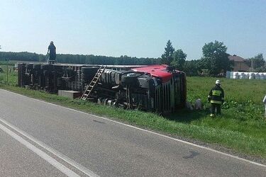 Wypadek z udziałem ciężarówki. Tir przewoził 180 sztuk trzody