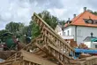 Wilki gwiazdą Jarmarku Dominikańskiego w Choroszczy [WIDEO]