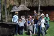 Degustacja miodów i gra terenowa z nagrodami. Wielki Dzień Pszczół w skansenie