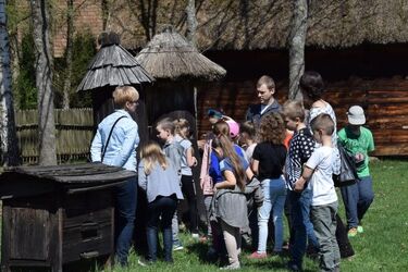 Degustacja miodów i gra terenowa z nagrodami. Wielki Dzień Pszczół w skansenie