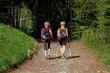 Bezpłatne treningi nordic walking. Zwiększono liczbę zdrowych zajęć