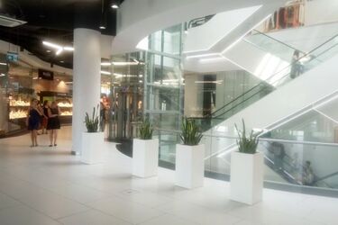 W środę zakupów nie zrobisz. Sklepy i galerie będą zamknięte