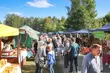 Kultura na weekend. Wakacyjne imprezy w plenerze i za miastem [WIDEO]