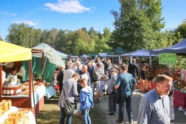 Kultura na weekend. Wakacyjne imprezy w plenerze i za miastem [WIDEO]