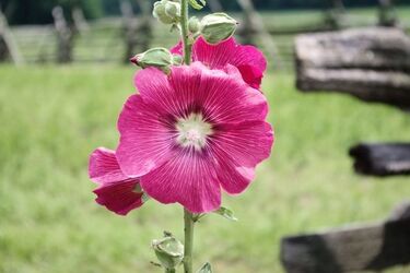 Zapowiada się pogodny piątek